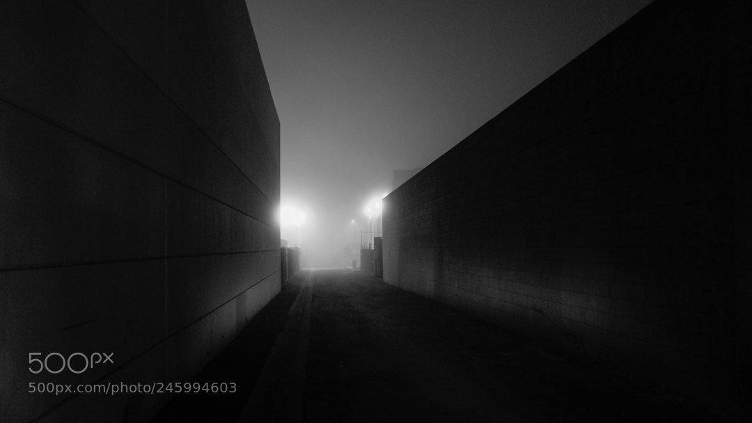 Fujifilm X100T sample photo. Monrovia fog 15 photography