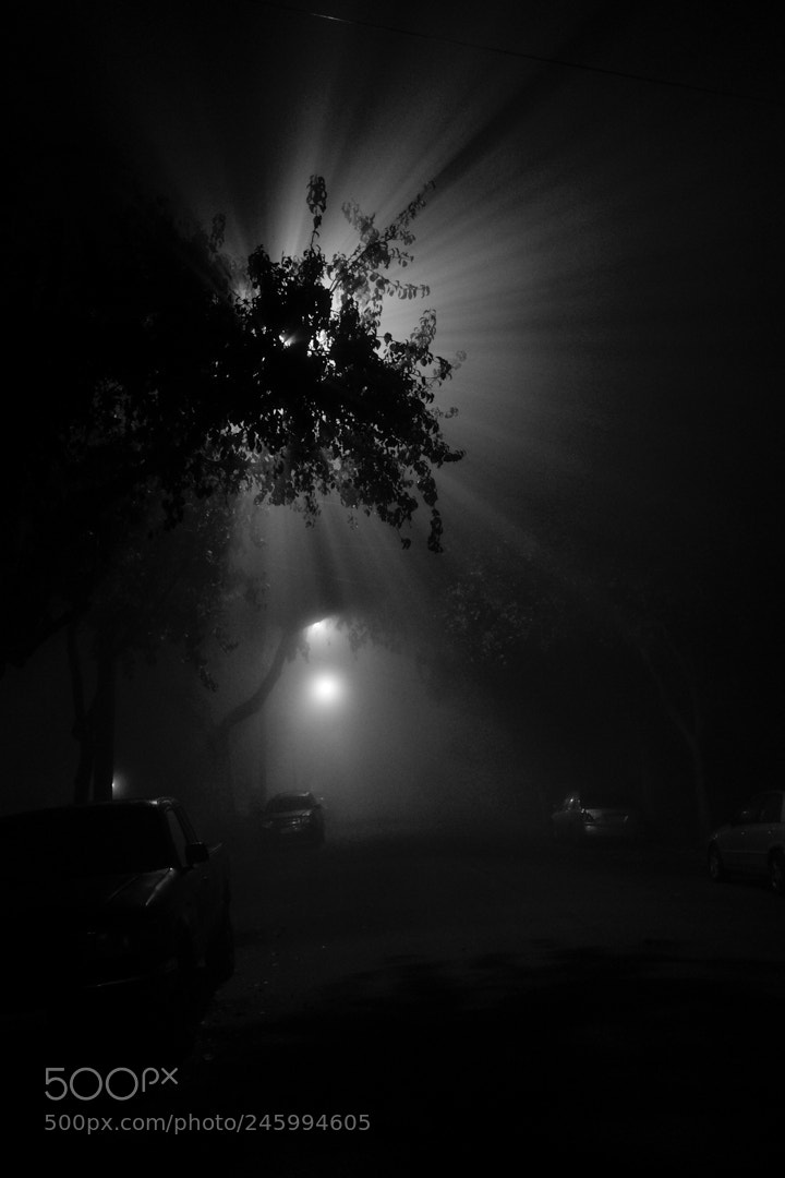 Fujifilm X100T sample photo. Monrovia fog 2 photography