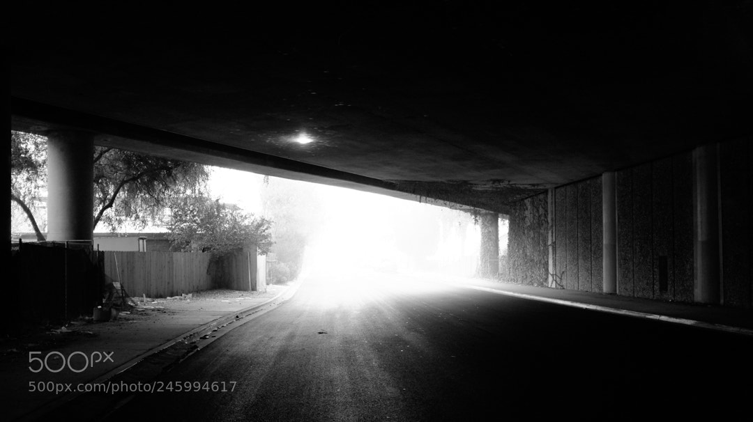 Fujifilm X100T sample photo. Monrovia fog 32 photography