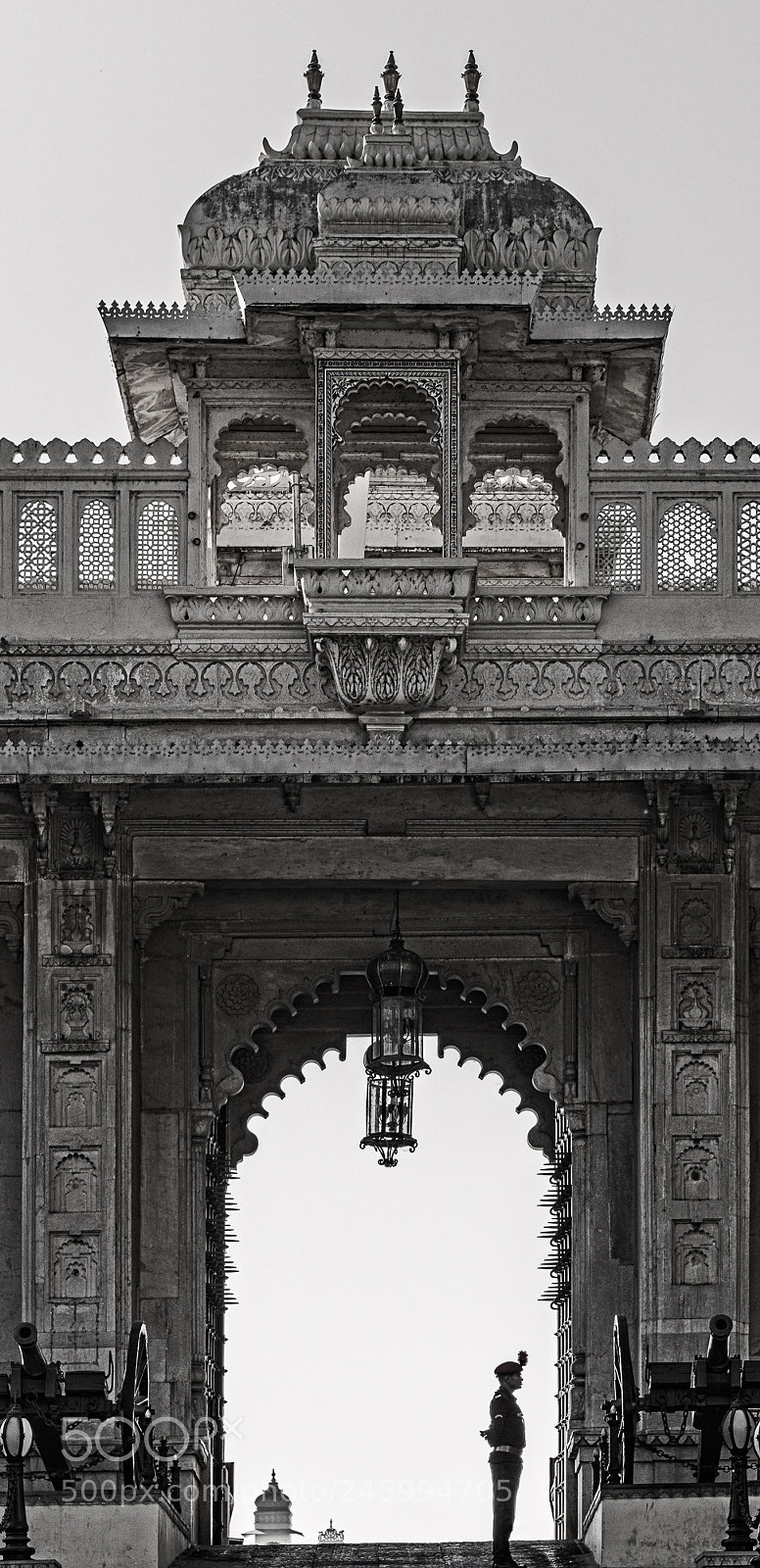 Nikon D850 sample photo. Standing guard at the photography