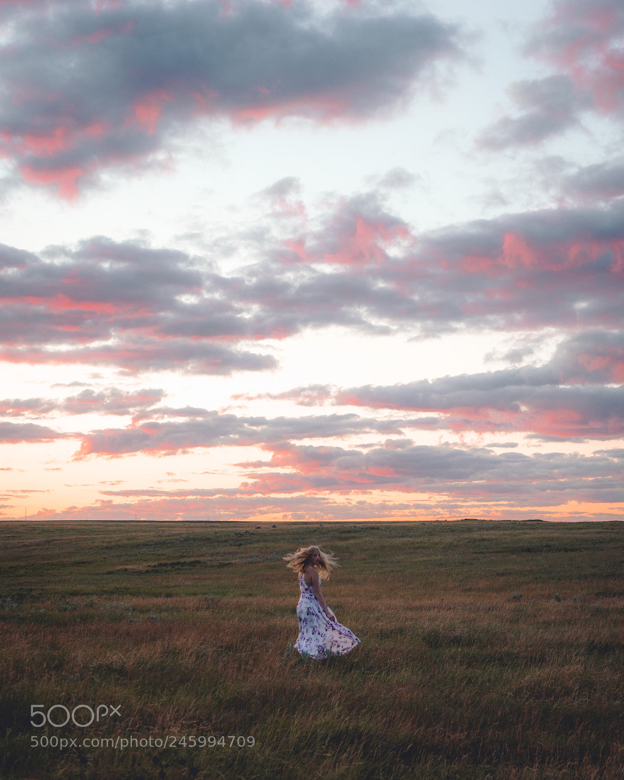 Sony a7 II sample photo. Pink skies photography