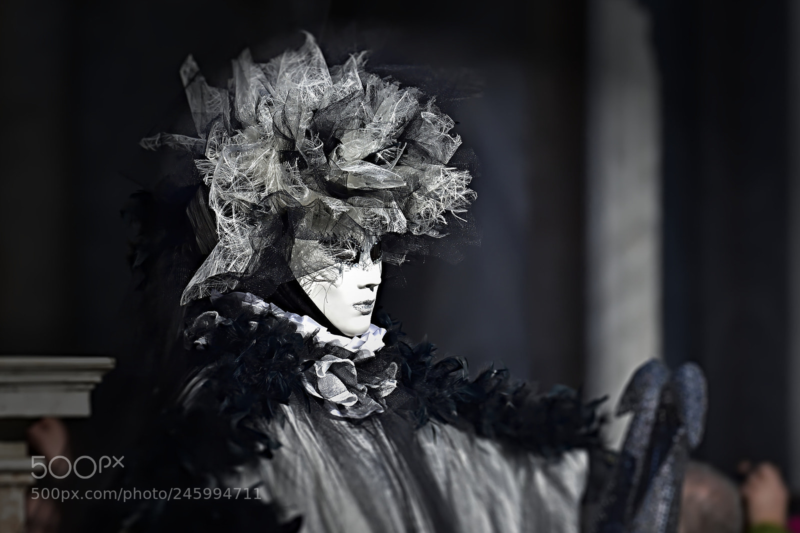Nikon D7200 sample photo. Venezia photography