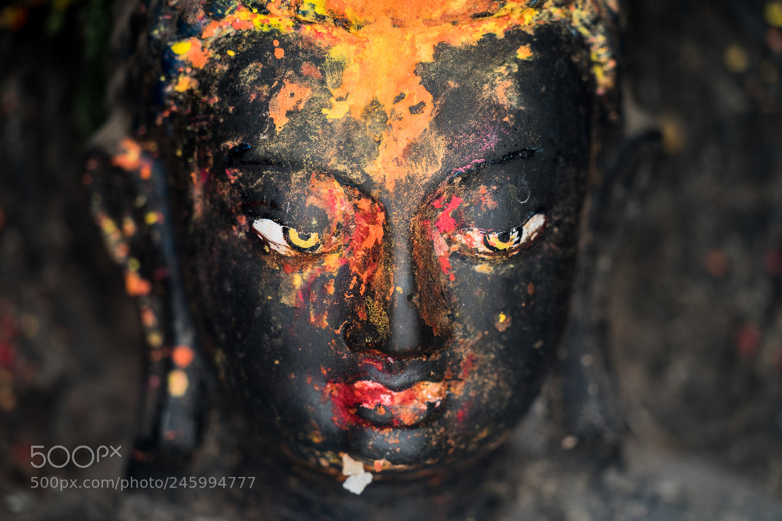 Sony a7 II sample photo. Dsc04770-2.jpg photography