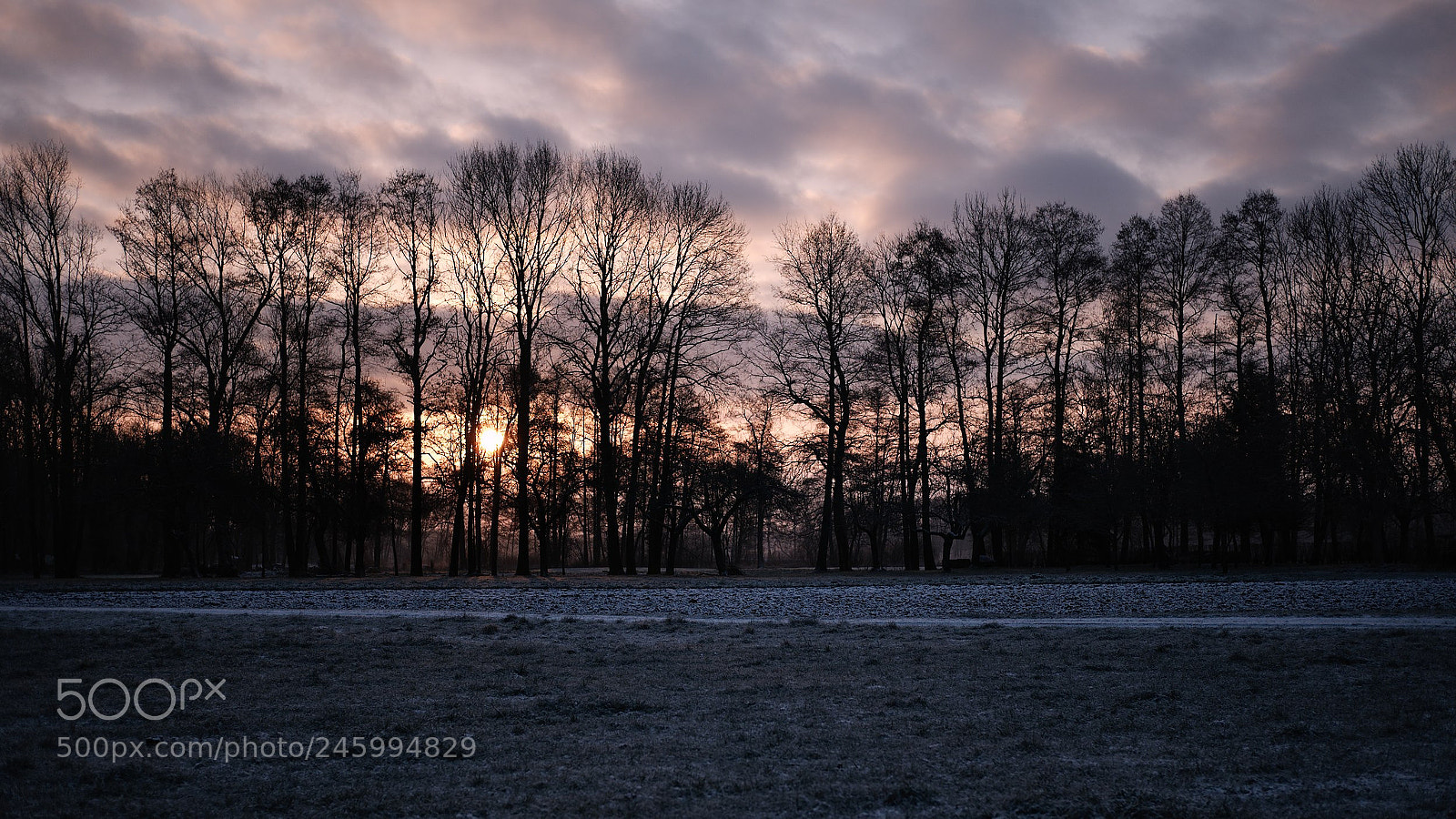 Fujifilm X-T10 sample photo. Spreewald at morning photography