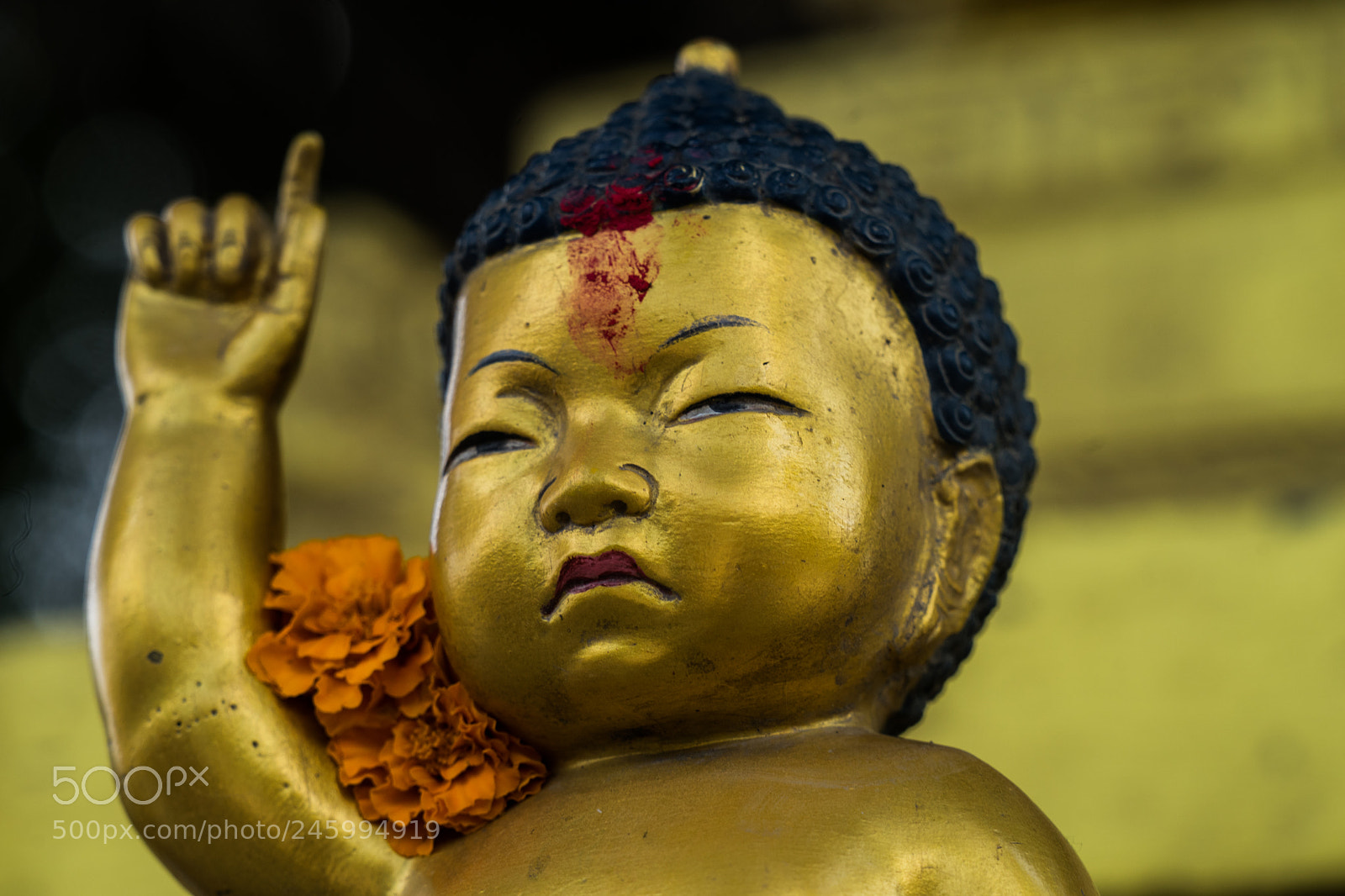 Sony a7 II sample photo. Dsc05135-2.jpg photography