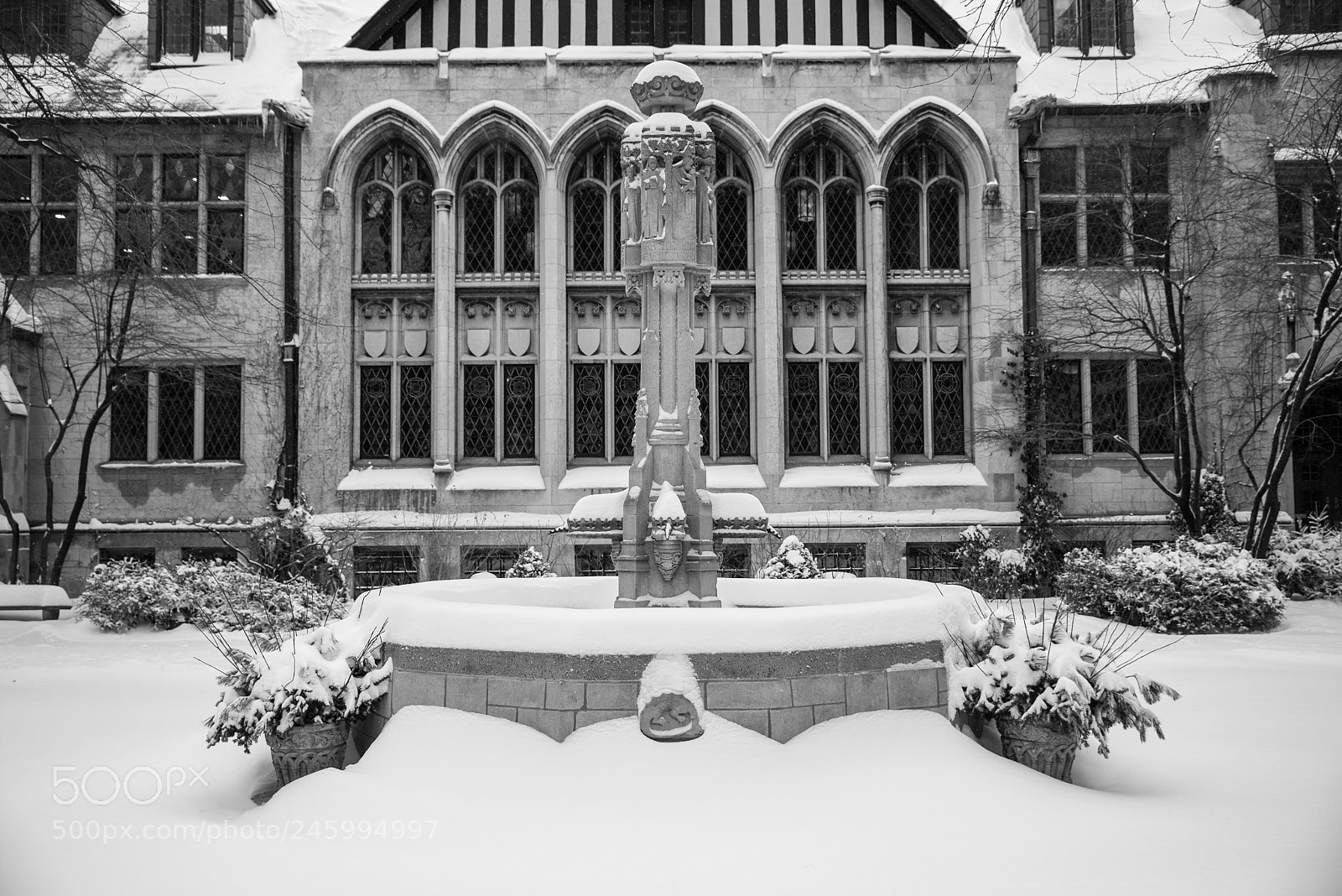 Nikon D610 sample photo. Winter in the churchyard photography