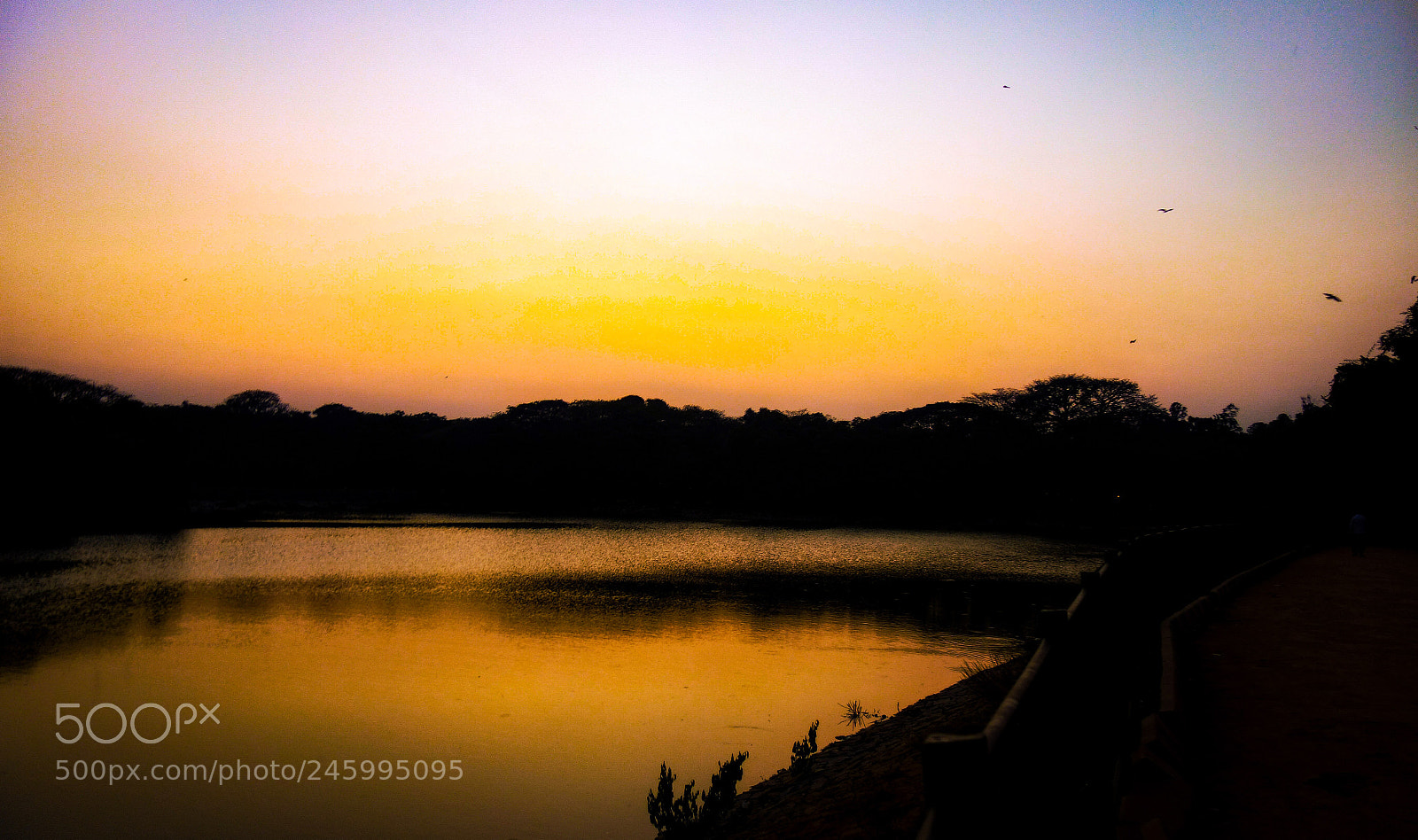 Sony Cyber-shot DSC-RX100 sample photo. The golden hour photography