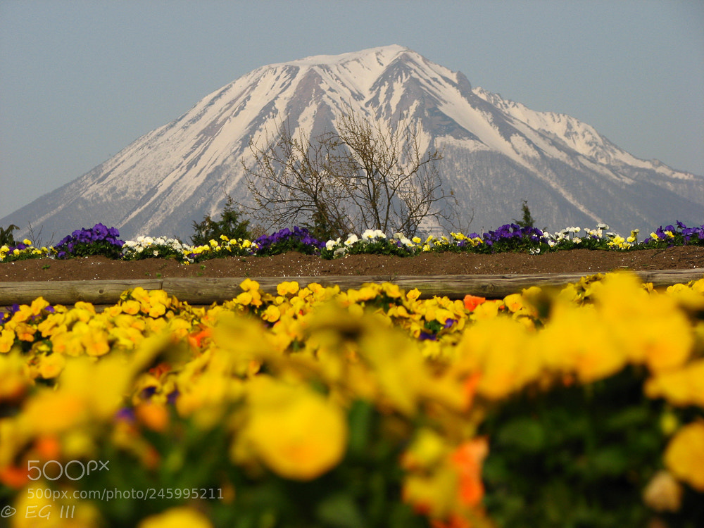Canon POWERSHOT S3 IS sample photo. The majestic mount daisen photography