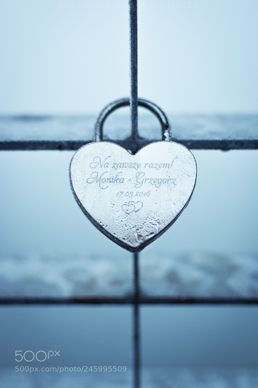 Nikon D5200 sample photo. Together forever. photography