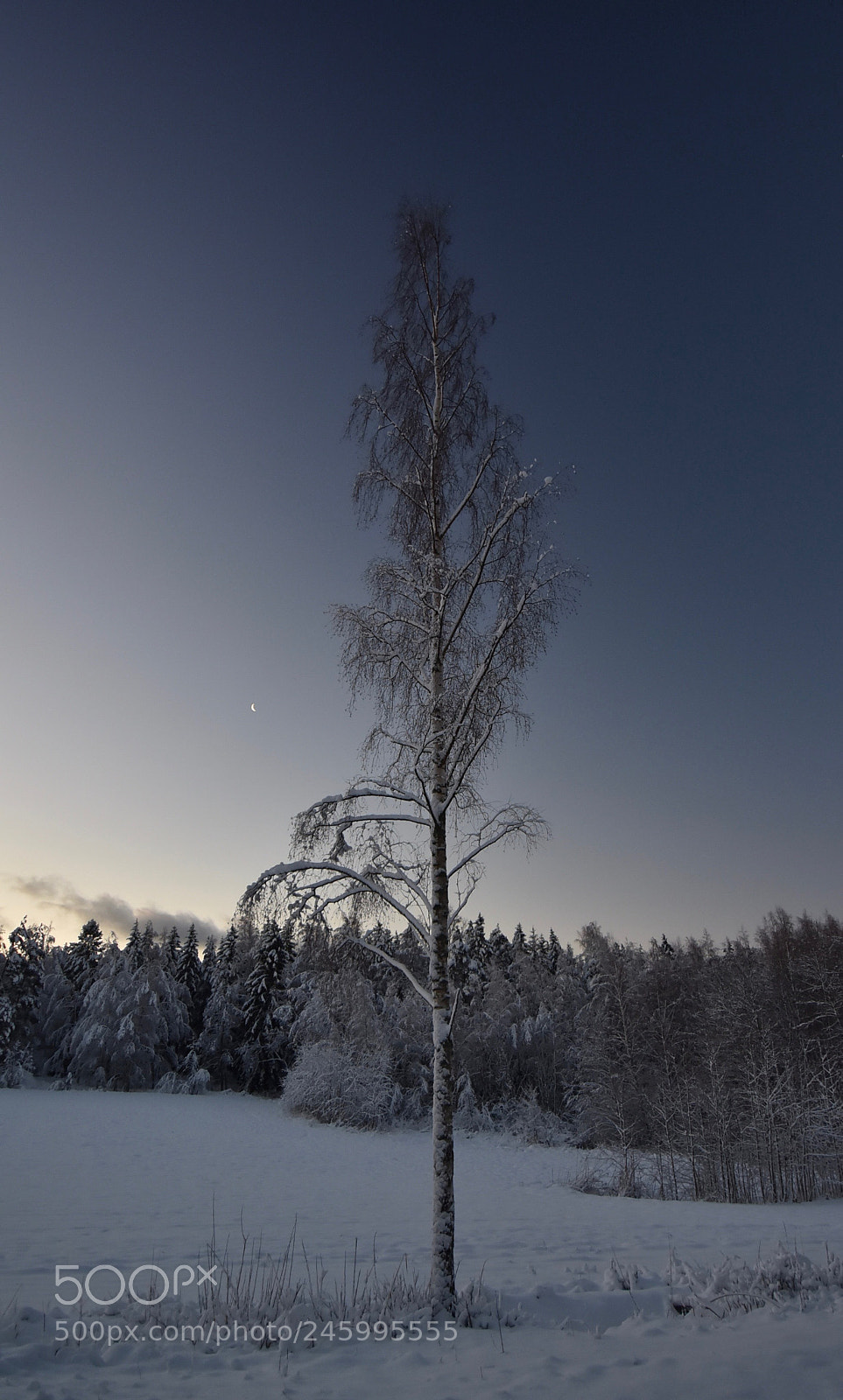 Nikon D7200 sample photo. The moon photography