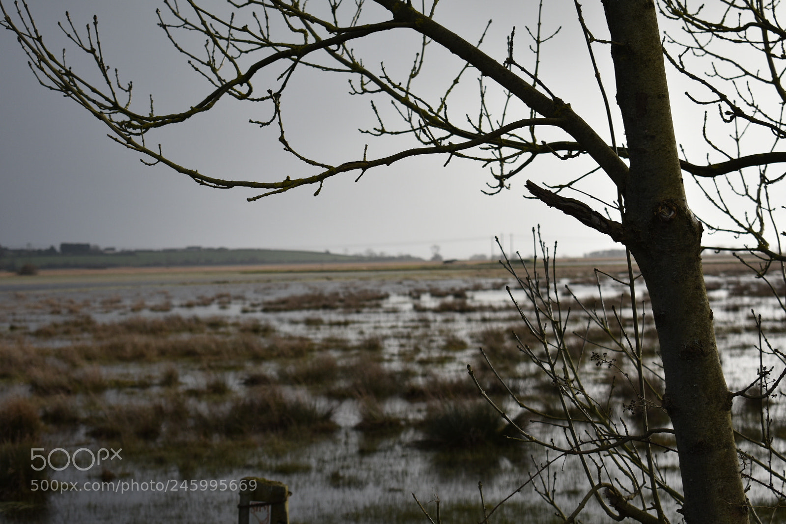 Nikon D3400 sample photo. Carentan swamp photography