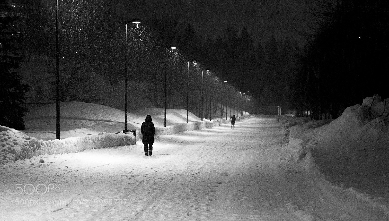 Canon EOS 60D sample photo. Raining snow photography