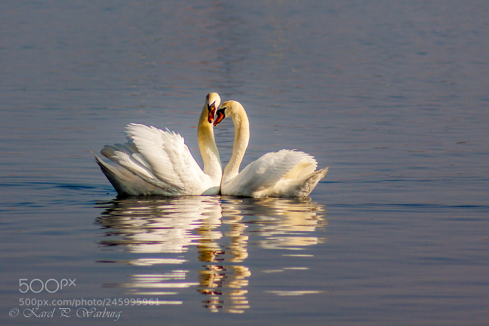 Canon EOS 50D sample photo. Happy valentine !!! photography