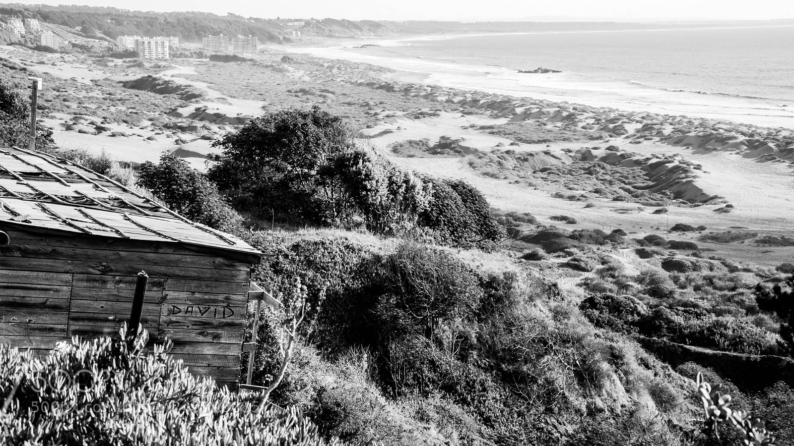Nikon D90 sample photo. David photography