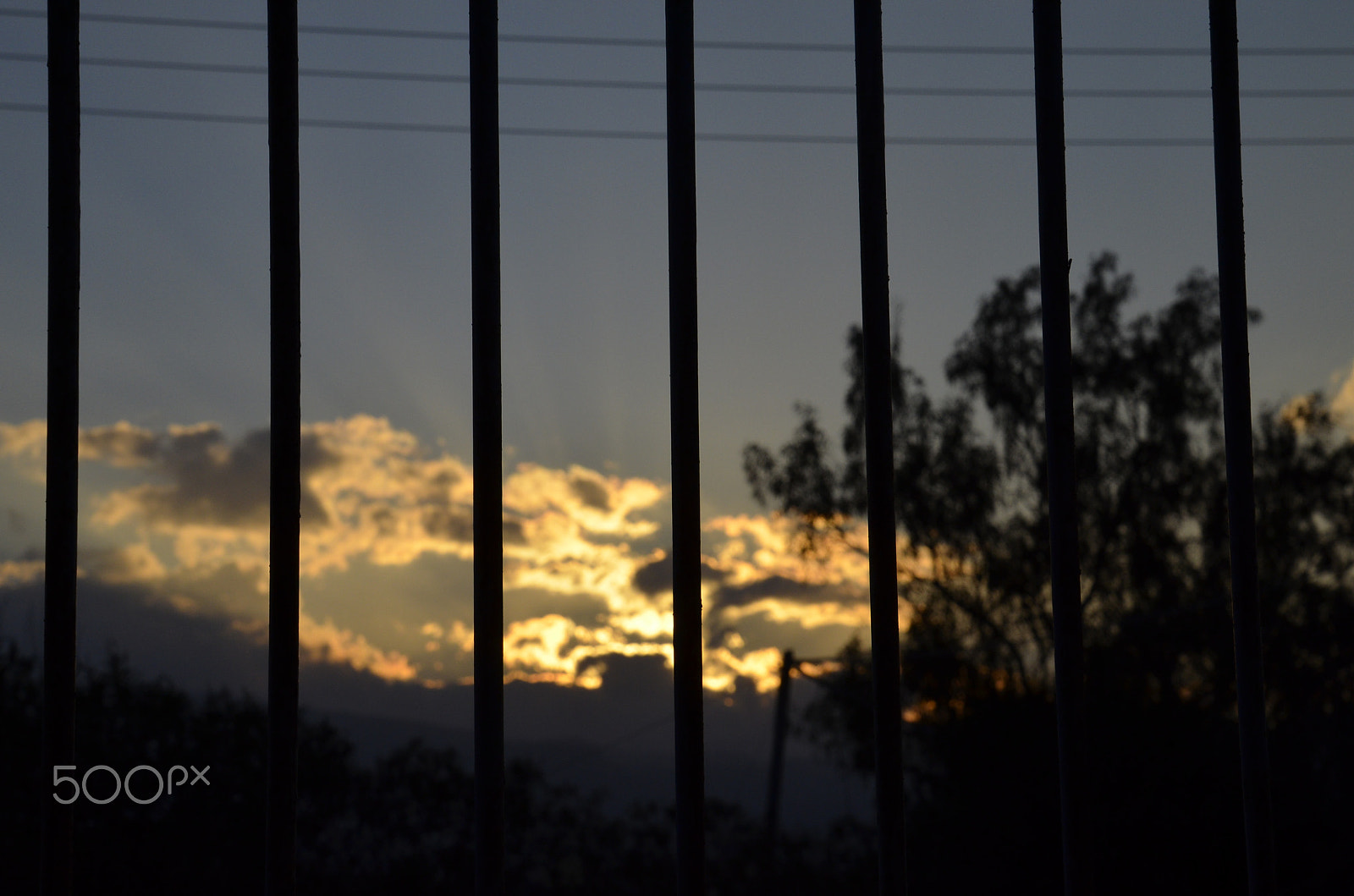 Nikon D5100 sample photo. Im back photography