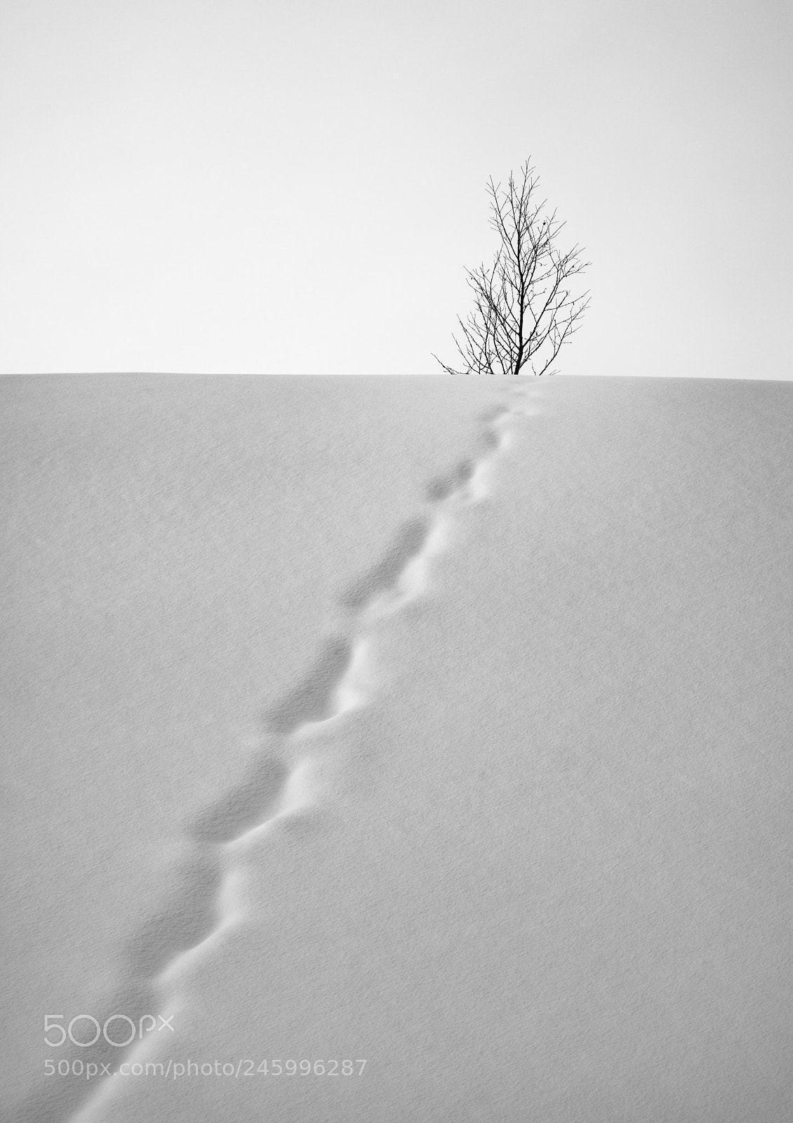 Fujifilm X-T2 sample photo. Fading tracks photography