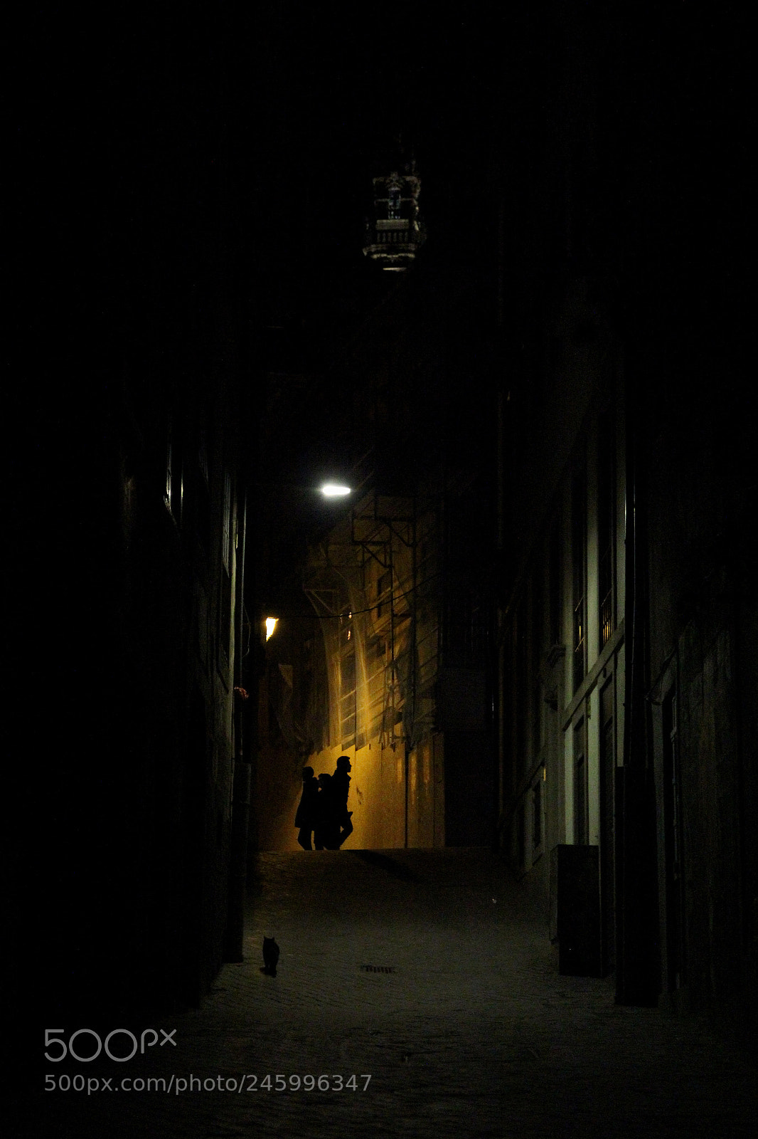 Canon EOS 550D (EOS Rebel T2i / EOS Kiss X4) sample photo. Silhouette photography
