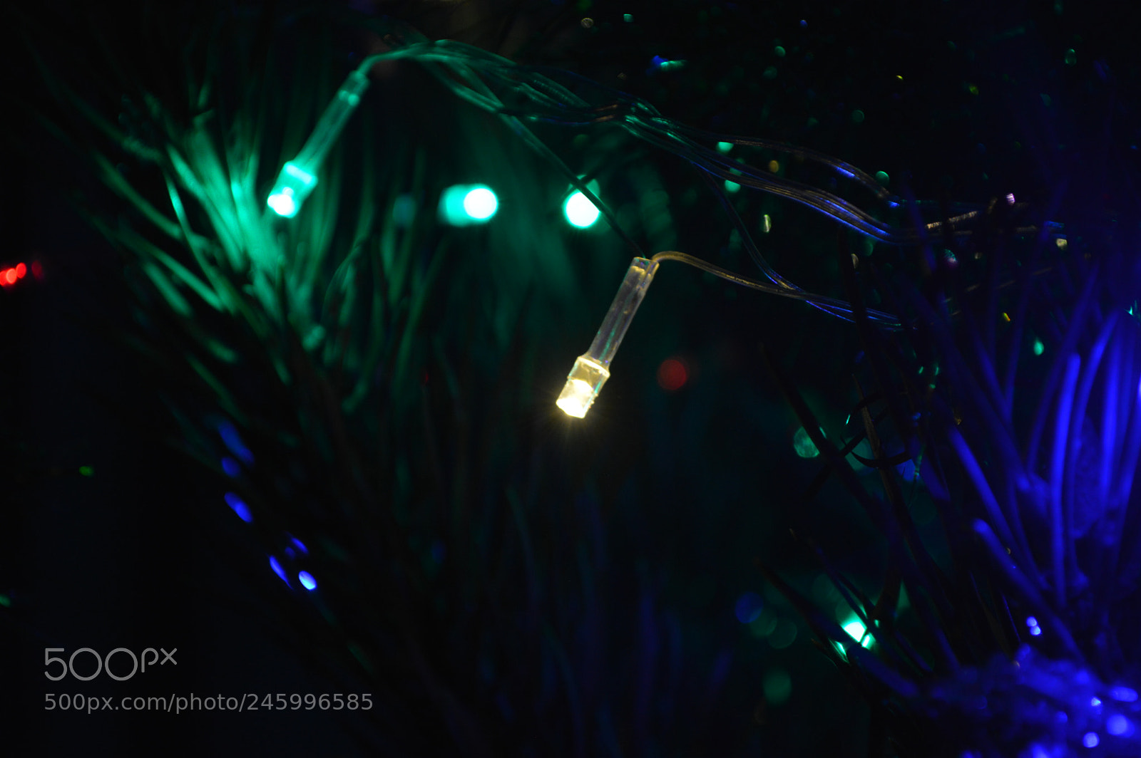 Nikon D3200 sample photo. New year lights photography