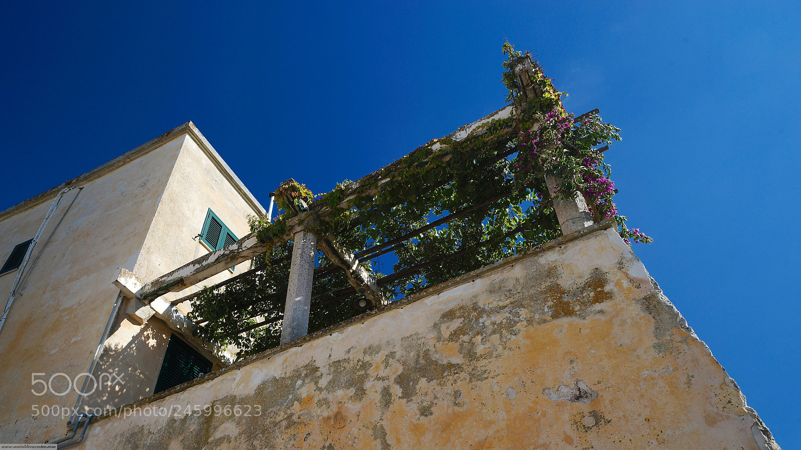 Sony SLT-A99V sample photo. Remembering summer 2017 photography