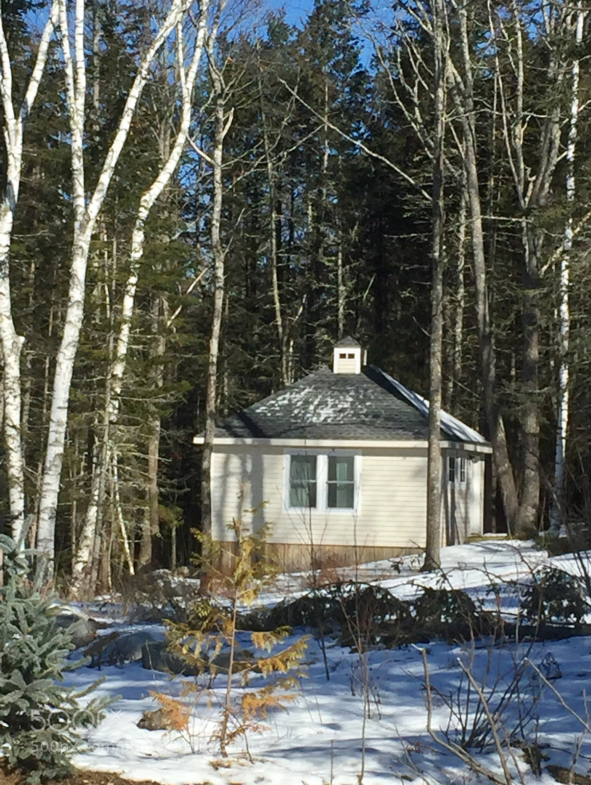 Apple iPhone 6 sample photo. Cute summer cottage photography