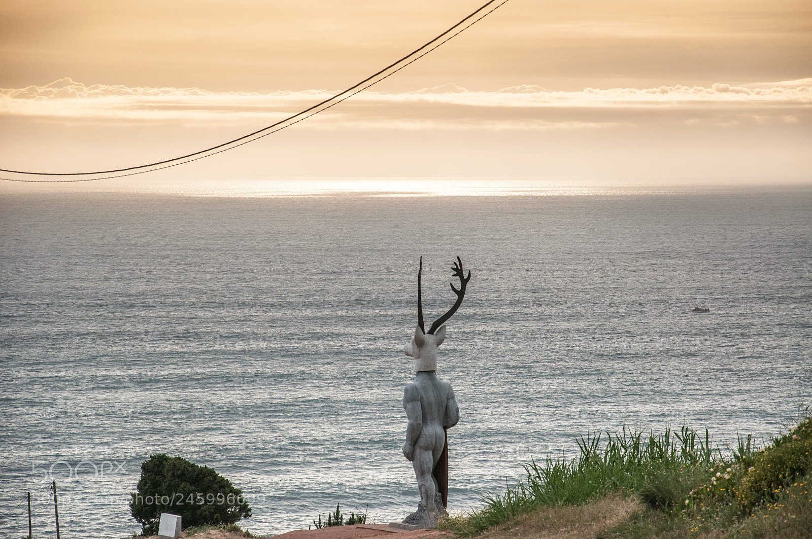 Nikon D5000 sample photo. Deer of nazaré photography