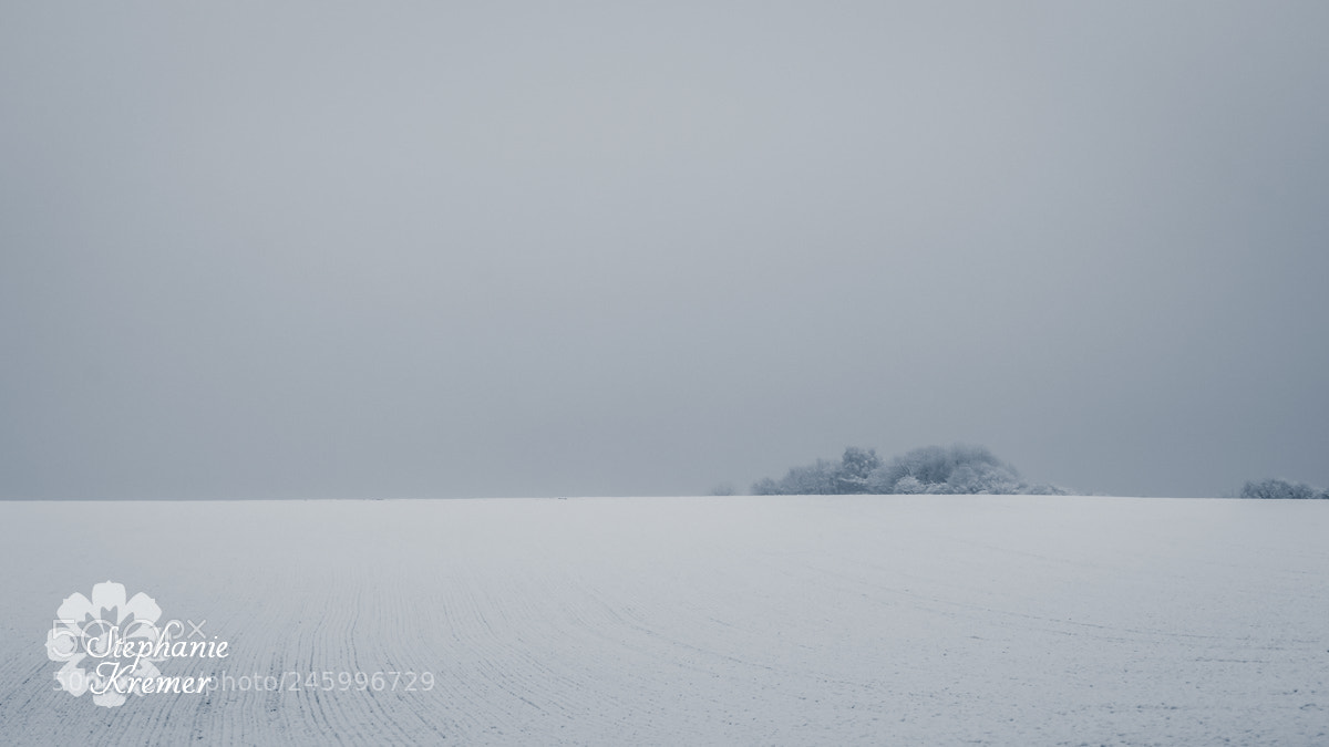 Nikon D5500 sample photo. White photography