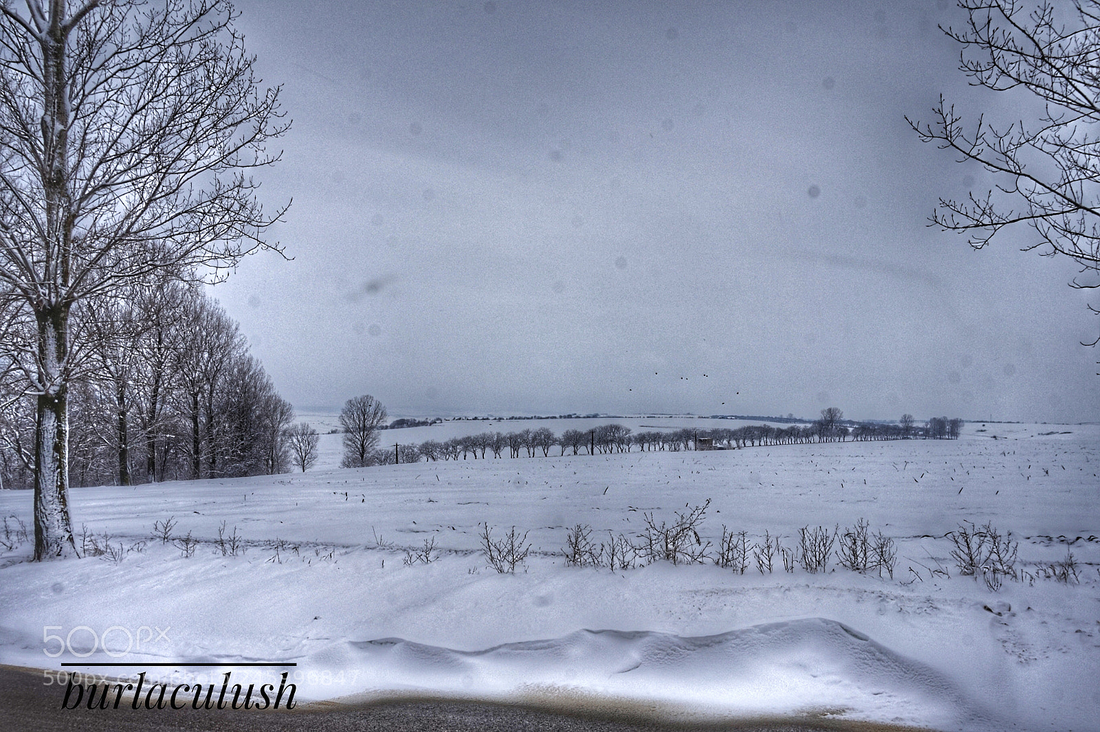 Sony Alpha a5000 (ILCE 5000) sample photo. Winter story photography