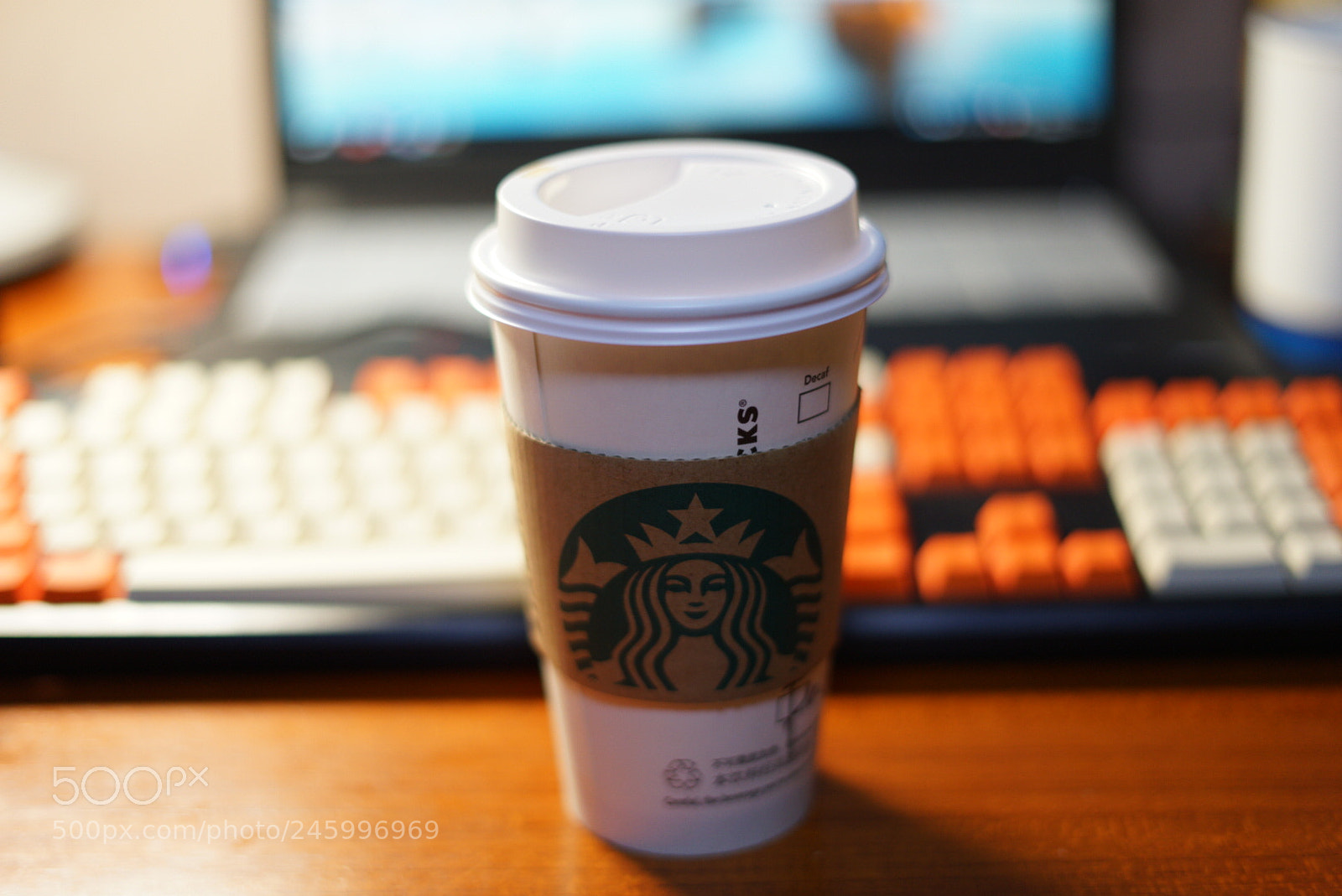 Sony a7 II sample photo. Untitled photography