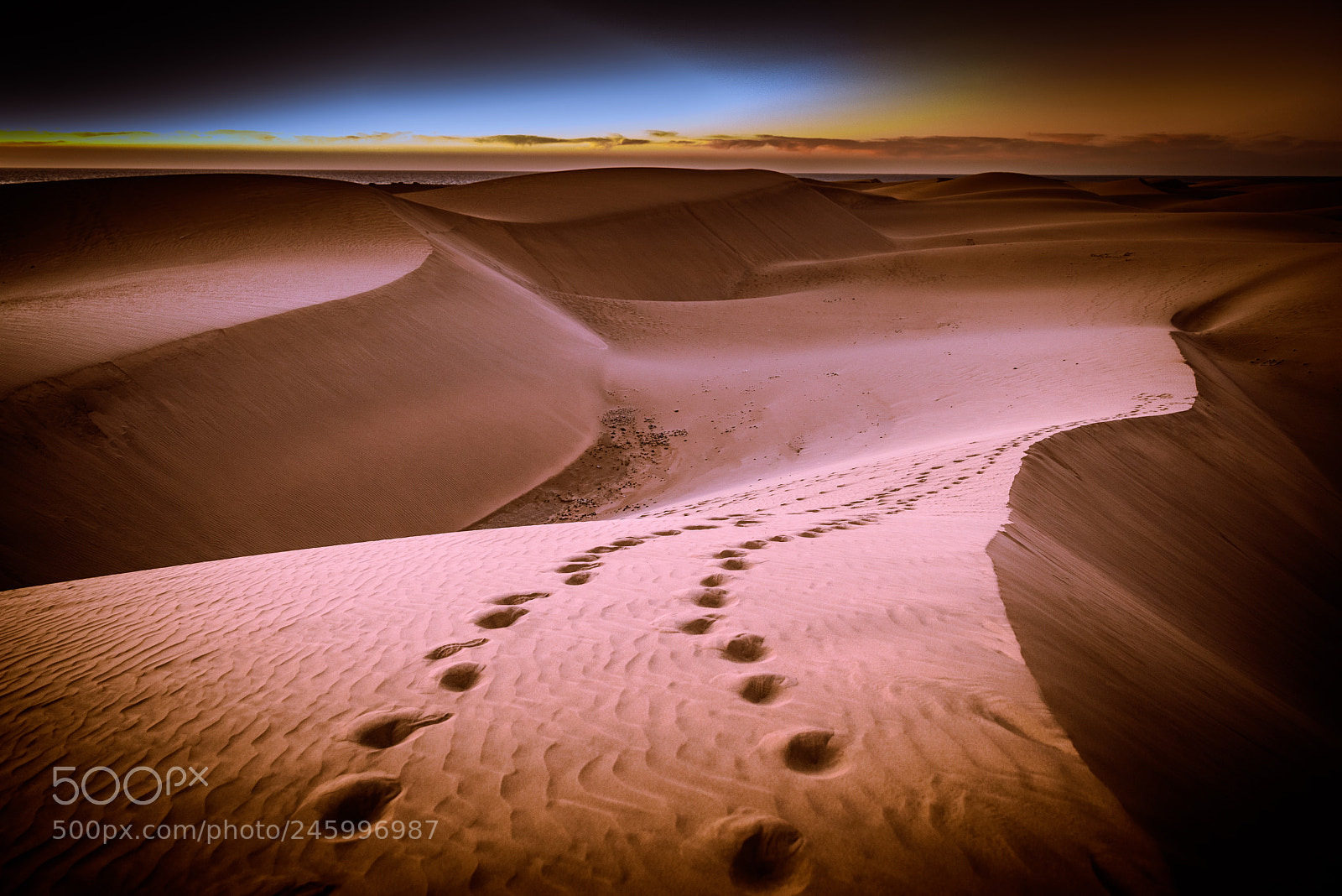 Nikon D800 sample photo. Gran canaria maspalomas photography