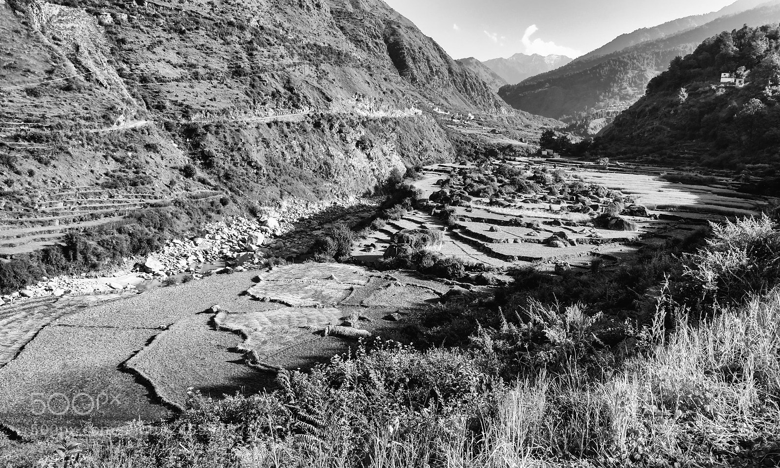 Fujifilm X-M1 sample photo. Inde cultures en escalier photography