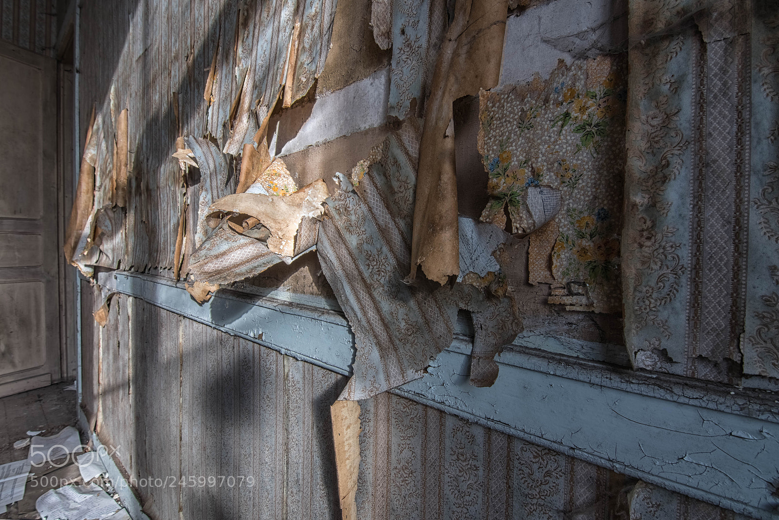 Nikon D500 sample photo. Paper photography