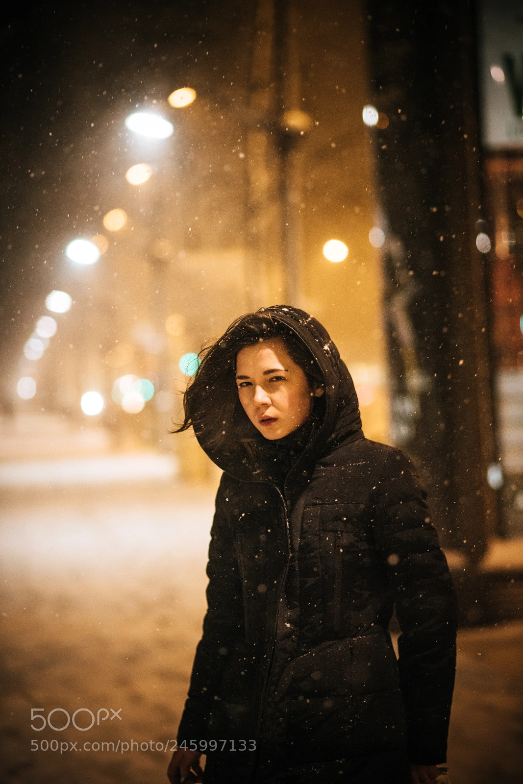 Nikon D850 sample photo. Snowing photography