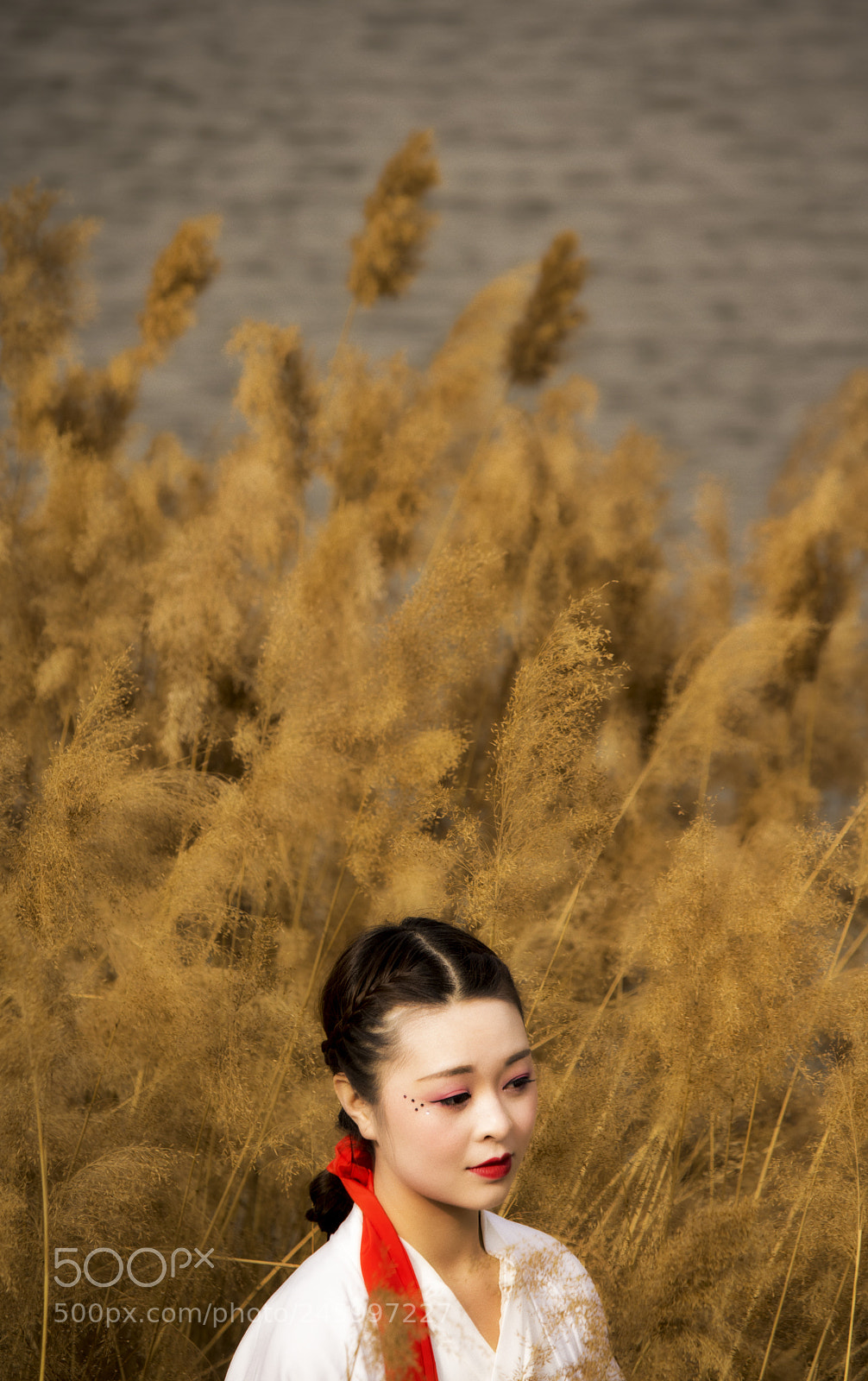 Canon EOS 750D (EOS Rebel T6i / EOS Kiss X8i) sample photo. Untitled photography