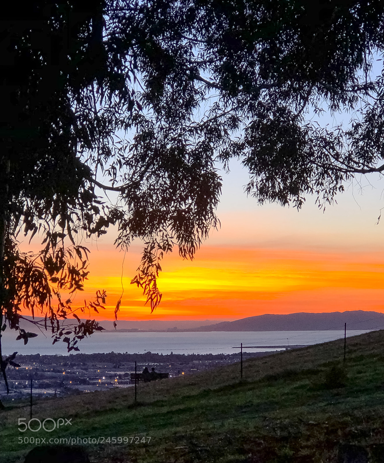 Apple iPhone 8 Plus sample photo. Couple watching bay area photography