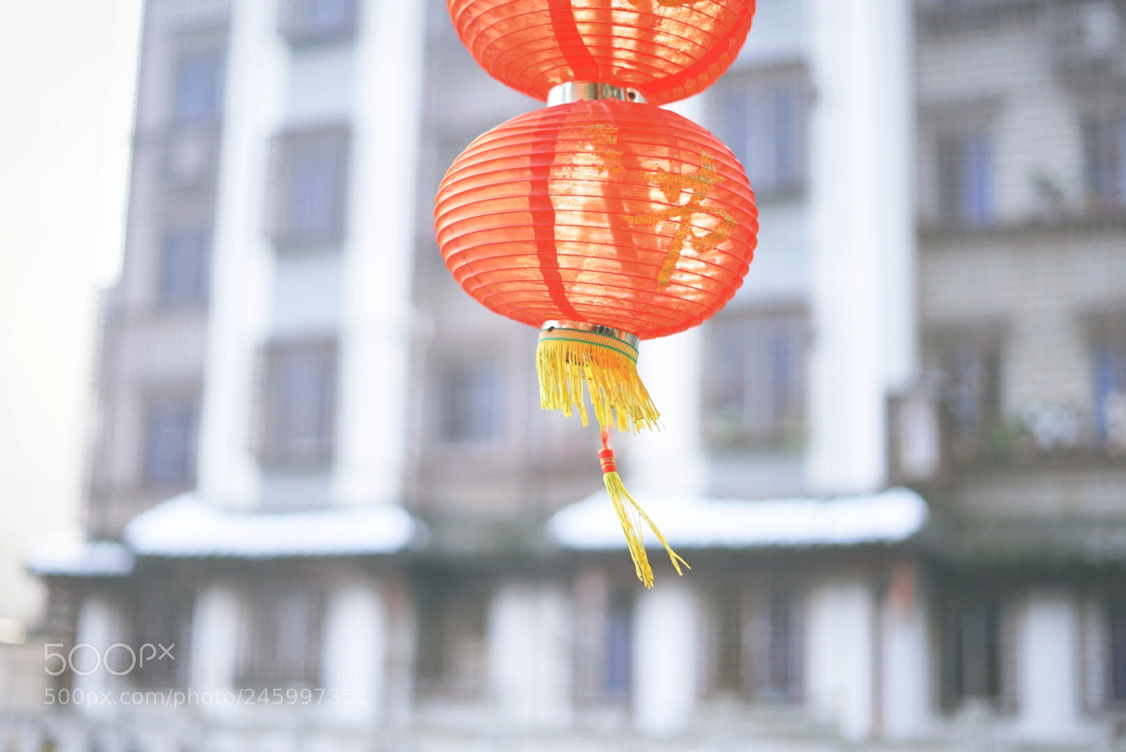 Sony a7 II sample photo. Untitled photography