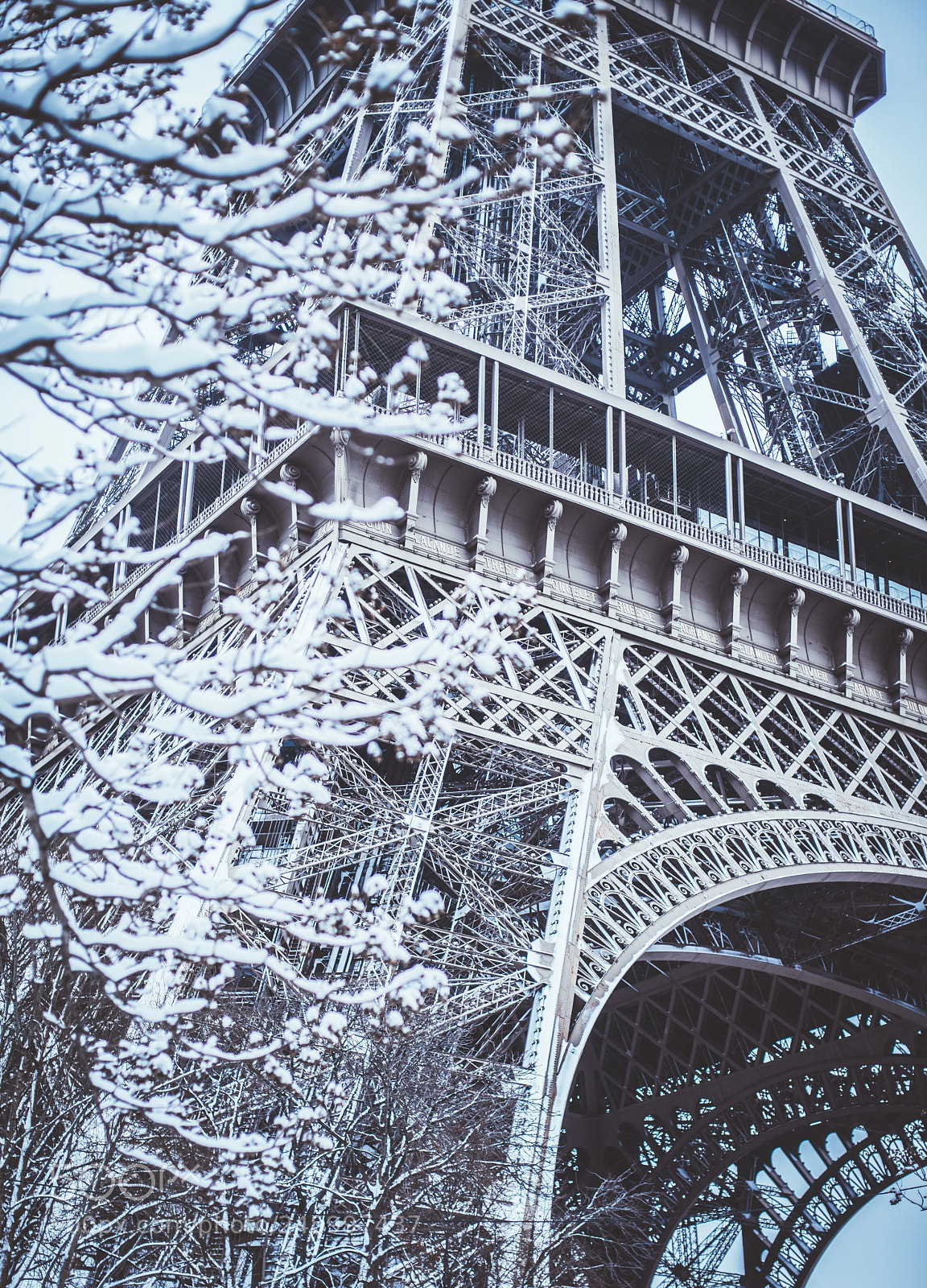 Nikon D850 sample photo. Eiffel tower in the photography