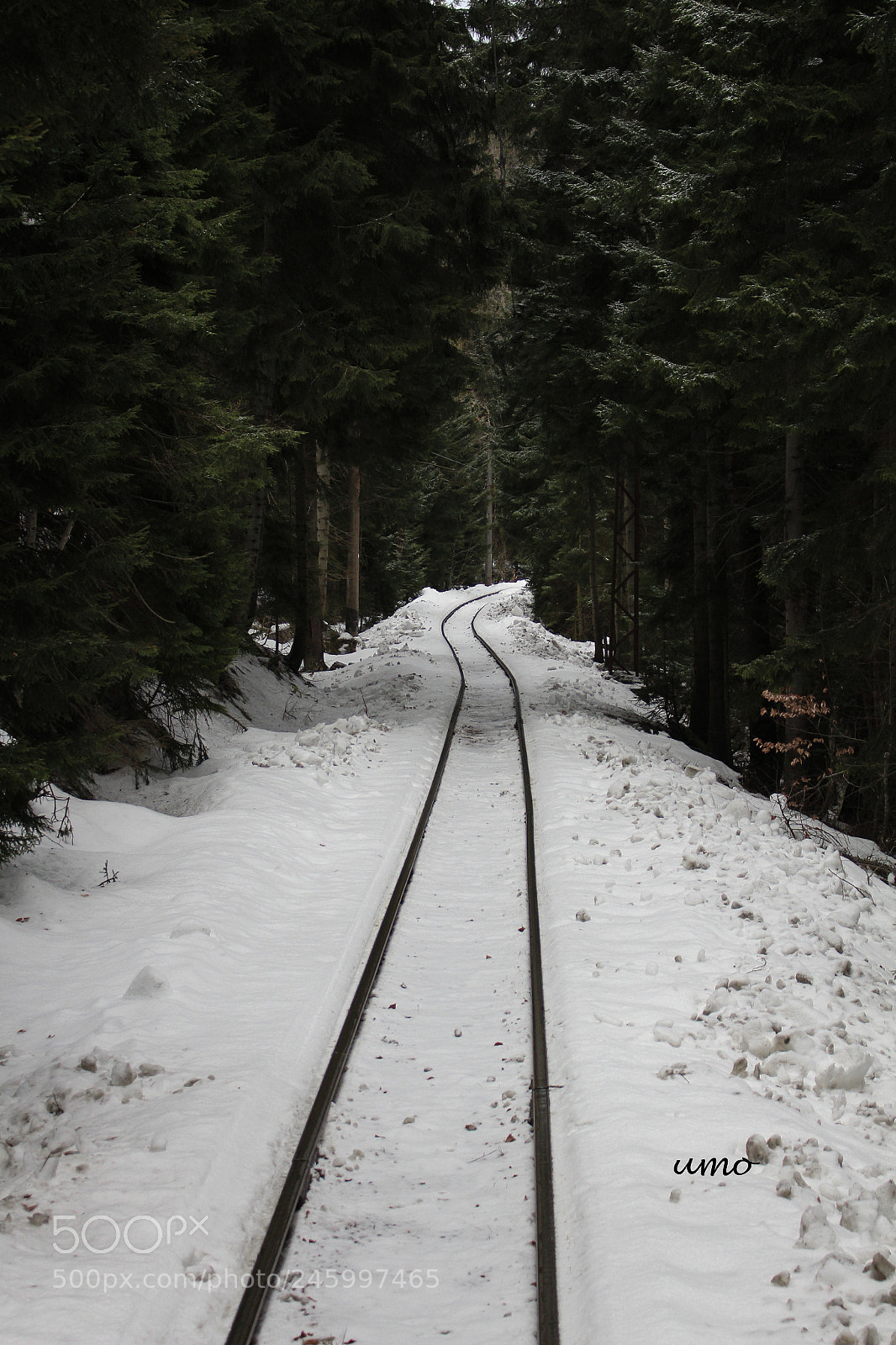 Canon EOS 700D (EOS Rebel T5i / EOS Kiss X7i) sample photo. Railway in the woods photography