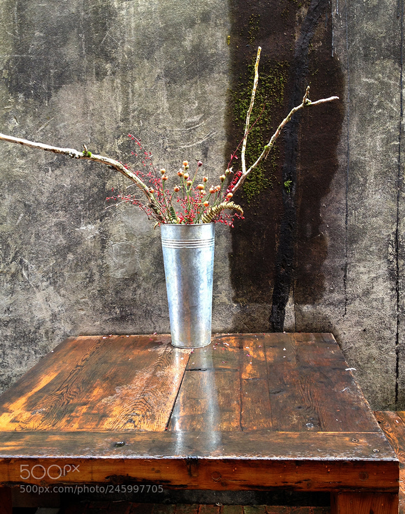 Apple iPhone 4S sample photo. Still life photography