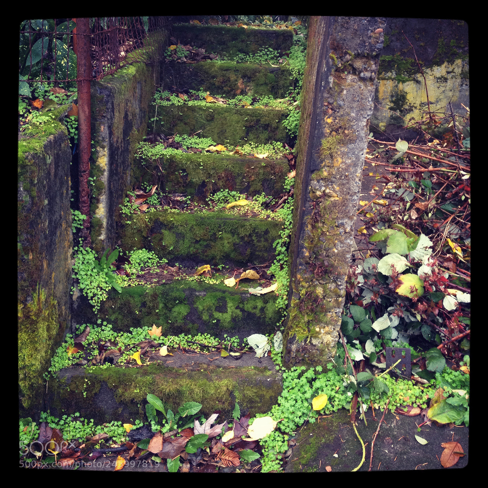 Apple iPhone 4S sample photo. Stairs in portland photography