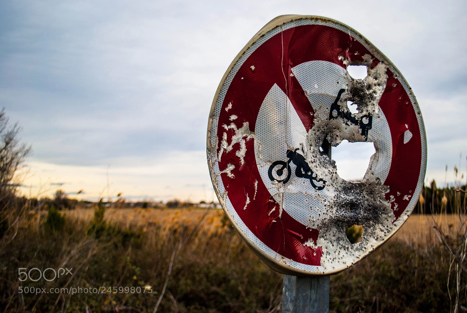 Nikon D3000 sample photo. Road sign photography