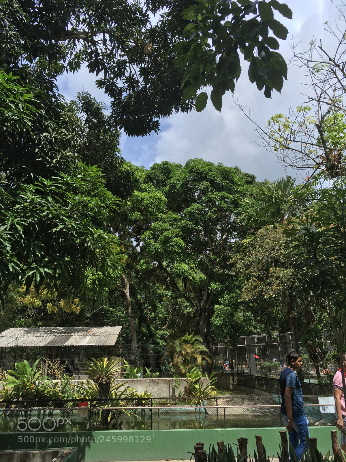 Apple iPhone SE sample photo. Zoo in brazil photography