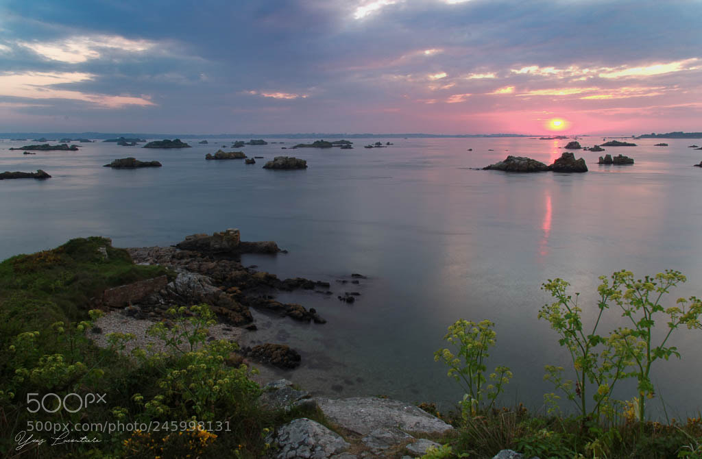 Nikon D90 sample photo. Sunset photography