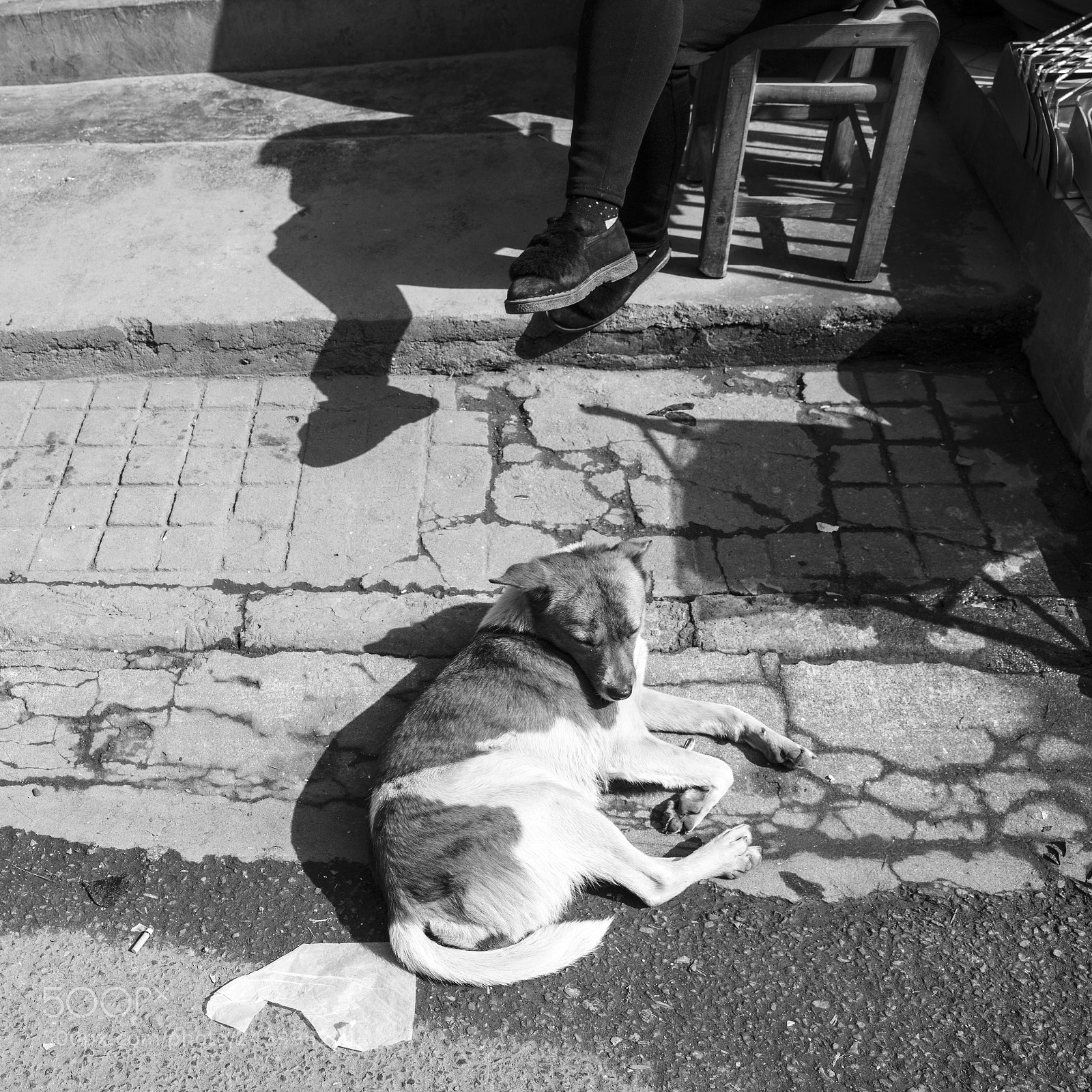 Canon EOS 5DS sample photo. 街头 photography