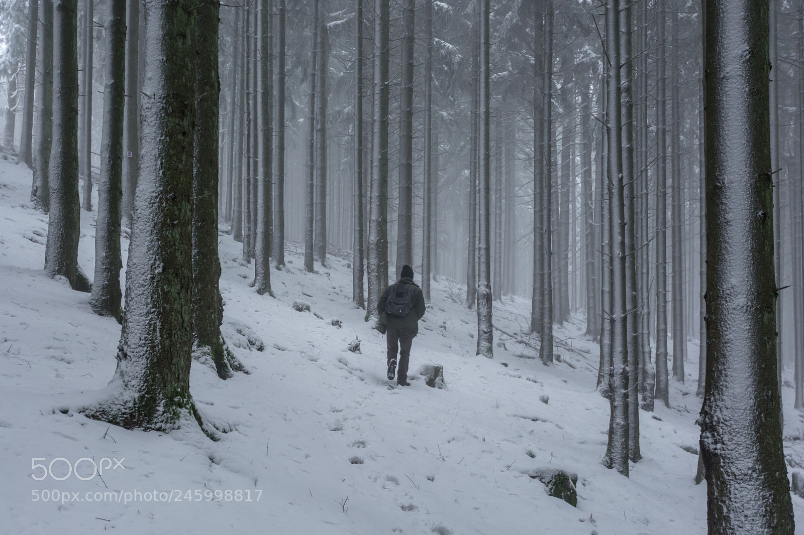 Nikon D7100 sample photo. Winterwanderung photography