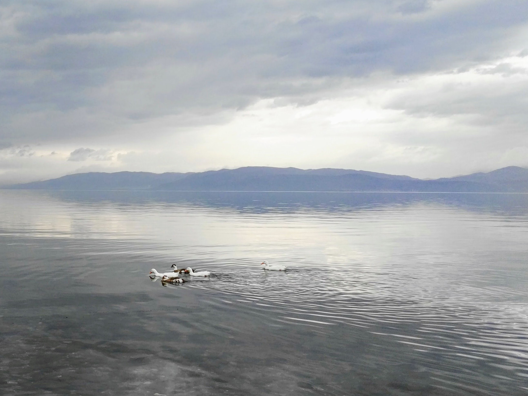 HUAWEI GX8 sample photo. İznik lake photography