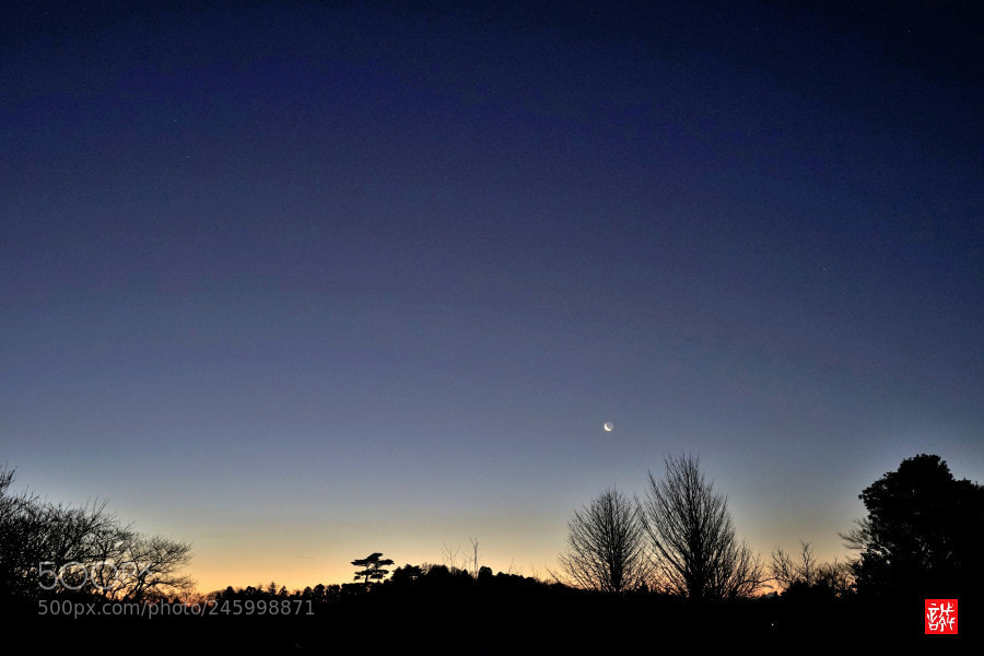 Sony a7 II sample photo. Before dawn 0213 photography