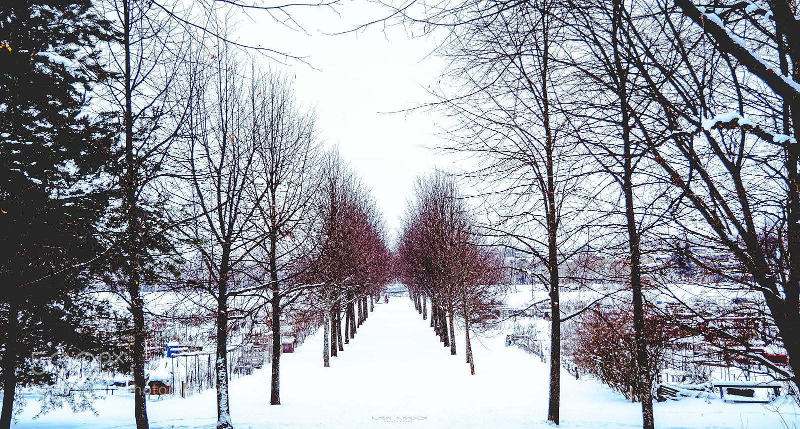 Panasonic Lumix DMC-GX8 sample photo. Winterscape photography