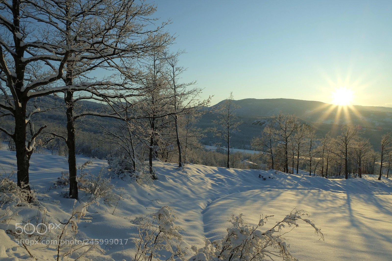 Fujifilm X-T2 sample photo. Golden snow show... photography