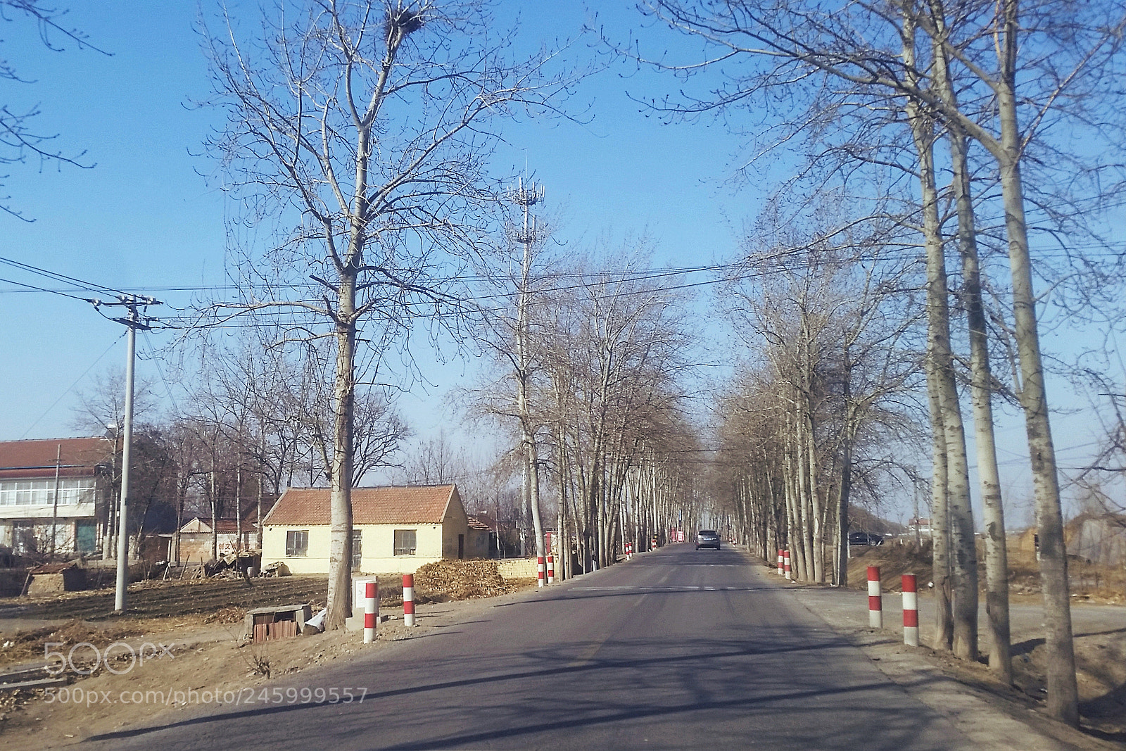 Samsung Galaxy S5 sample photo. Close to home photography