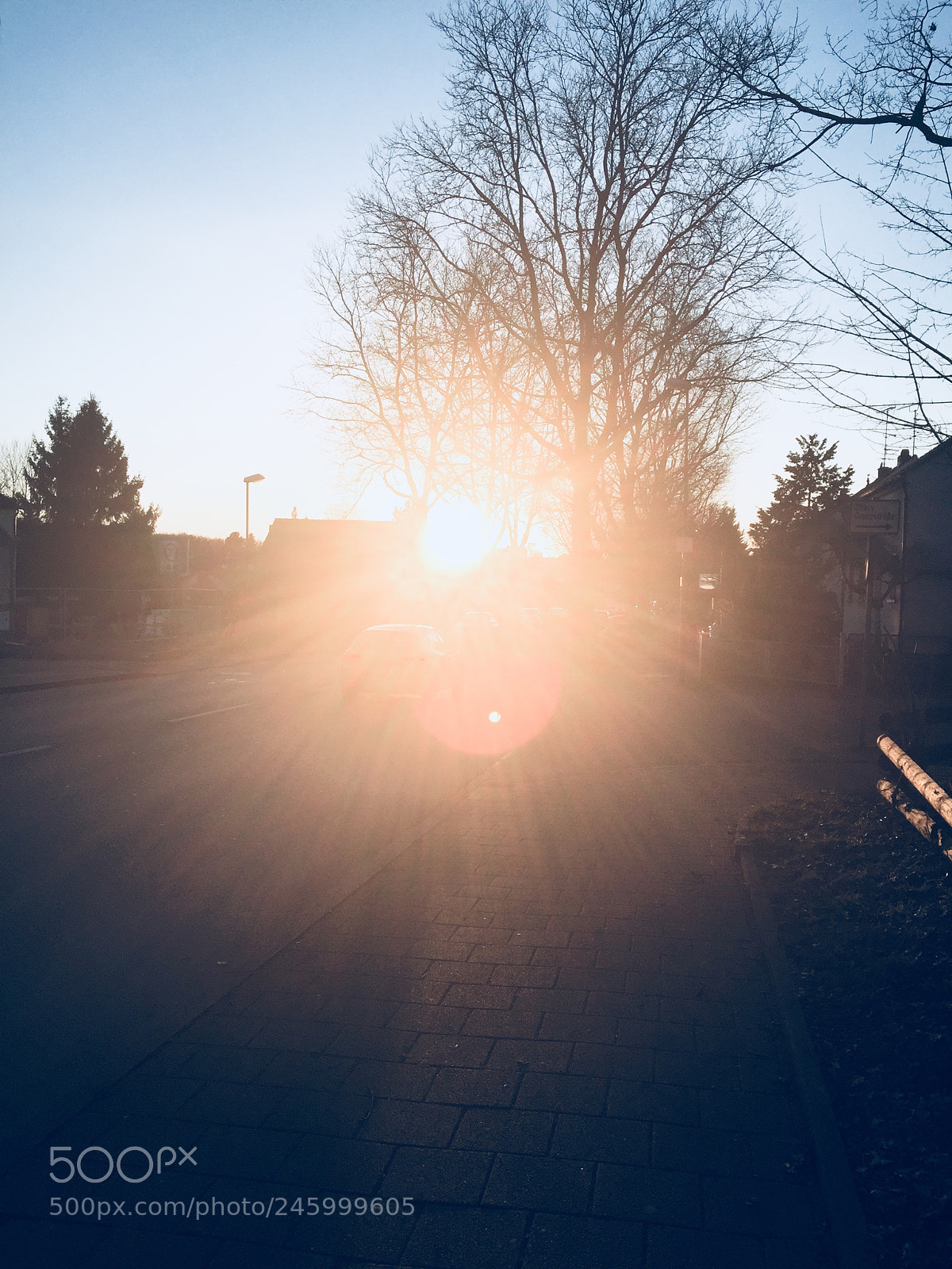 Apple iPhone 6 sample photo. Yay sun was shining photography